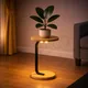 Light__Owesco